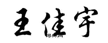 胡问遂王佳宇行书个性签名怎么写