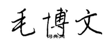 王正良毛博文行书个性签名怎么写