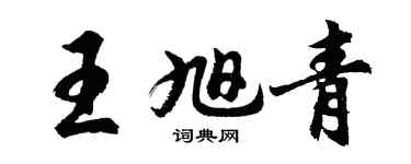 胡问遂王旭青行书个性签名怎么写