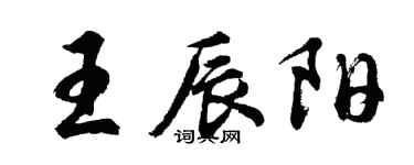 胡问遂王辰阳行书个性签名怎么写