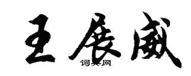 胡问遂王展威行书个性签名怎么写