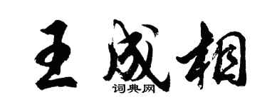 胡问遂王成相行书个性签名怎么写