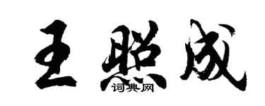 胡问遂王照成行书个性签名怎么写