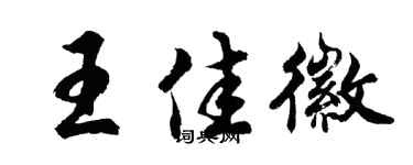 胡问遂王佳徽行书个性签名怎么写