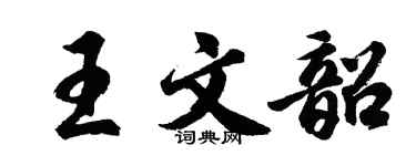 胡问遂王文韶行书个性签名怎么写