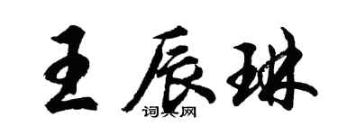 胡问遂王辰琳行书个性签名怎么写