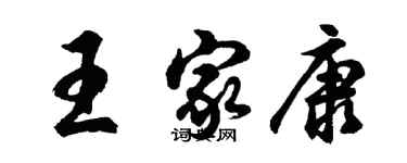 胡问遂王家康行书个性签名怎么写
