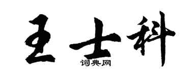 胡问遂王士科行书个性签名怎么写