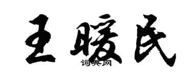 胡问遂王暖民行书个性签名怎么写