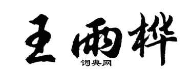 胡问遂王雨桦行书个性签名怎么写