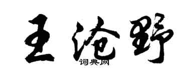 胡问遂王沧野行书个性签名怎么写