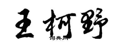 胡问遂王柯野行书个性签名怎么写