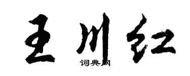 胡问遂王川红行书个性签名怎么写