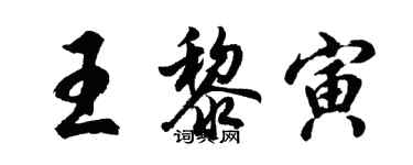 胡问遂王黎寅行书个性签名怎么写