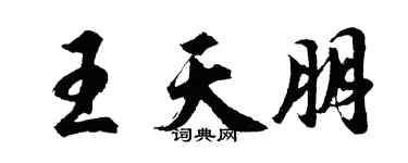 胡问遂王天朋行书个性签名怎么写