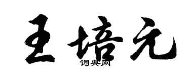 胡问遂王培元行书个性签名怎么写