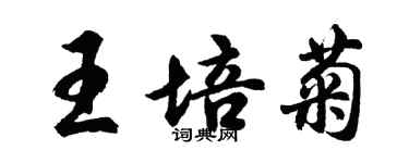 胡问遂王培菊行书个性签名怎么写