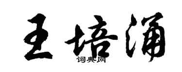 胡问遂王培涌行书个性签名怎么写