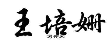 胡问遂王培姗行书个性签名怎么写