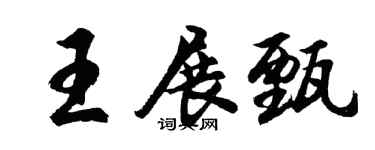 胡问遂王展甄行书个性签名怎么写