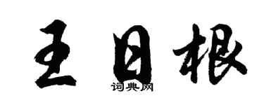 胡问遂王日根行书个性签名怎么写