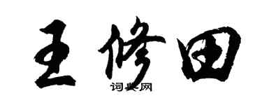 胡问遂王修田行书个性签名怎么写