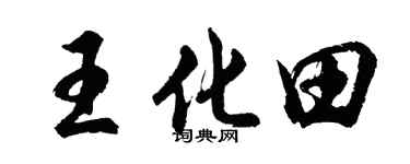 胡问遂王化田行书个性签名怎么写