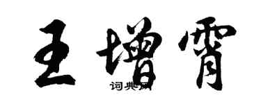 胡问遂王增霄行书个性签名怎么写