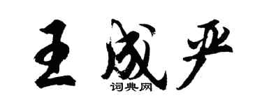 胡问遂王成严行书个性签名怎么写