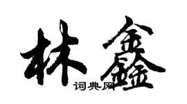 胡问遂林鑫行书个性签名怎么写