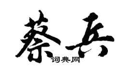 胡问遂蔡兵行书个性签名怎么写