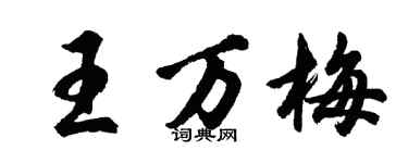 胡问遂王万梅行书个性签名怎么写