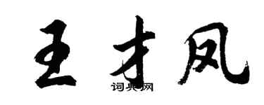 胡问遂王才凤行书个性签名怎么写