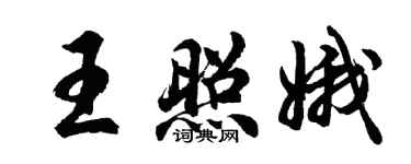胡问遂王照娥行书个性签名怎么写