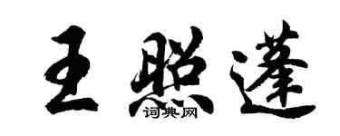 胡问遂王照蓬行书个性签名怎么写