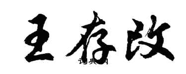 胡问遂王存改行书个性签名怎么写