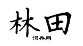 丁谦林田楷书个性签名怎么写