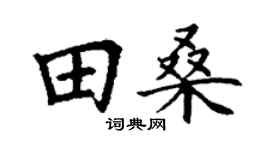 丁谦田桑楷书个性签名怎么写