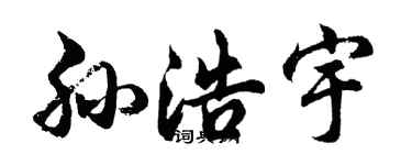 胡问遂孙浩宇行书个性签名怎么写