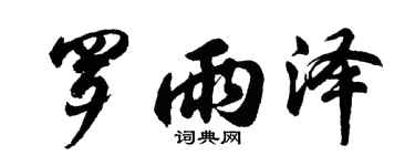 胡问遂罗雨泽行书个性签名怎么写