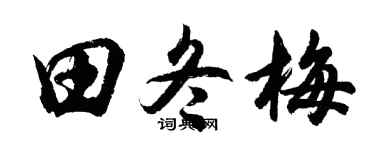 胡问遂田冬梅行书个性签名怎么写