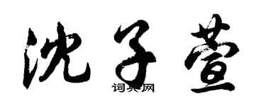 胡问遂沈子萱行书个性签名怎么写