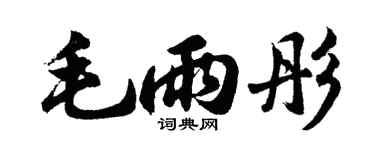 胡问遂毛雨彤行书个性签名怎么写