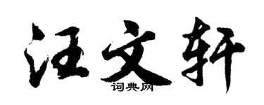 胡问遂汪文轩行书个性签名怎么写