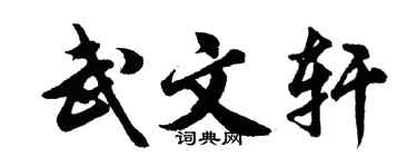 胡问遂武文轩行书个性签名怎么写