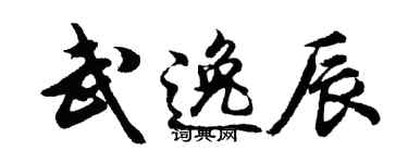 胡问遂武逸辰行书个性签名怎么写