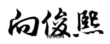 胡问遂向俊熙行书个性签名怎么写