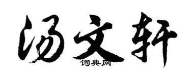 胡问遂汤文轩行书个性签名怎么写