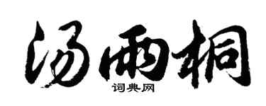 胡问遂汤雨桐行书个性签名怎么写