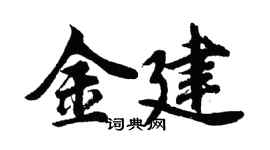 胡问遂金建行书个性签名怎么写